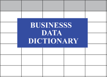 Business Data Dictionary